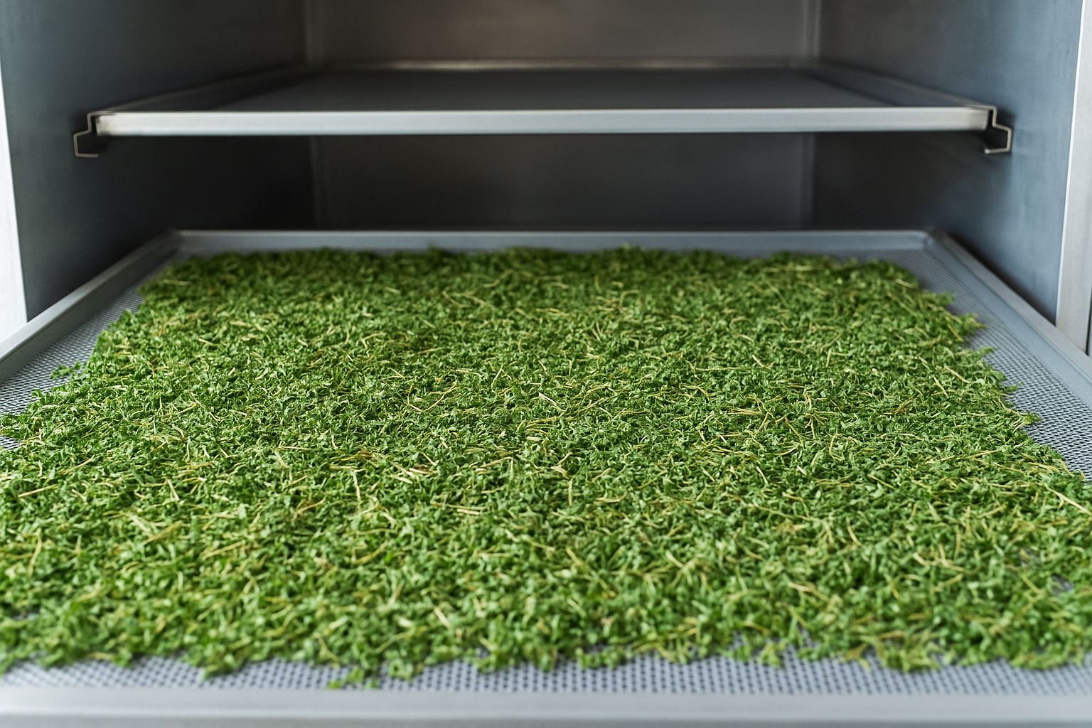 أعشاب نهر النيل | تصدير وتوريد الأعشاب والتوابل والنباتات الطبية من مصر