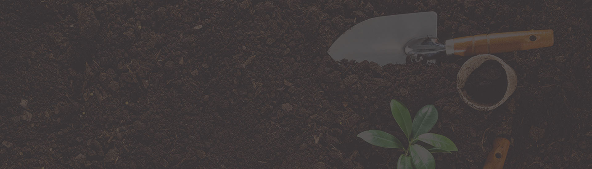 آراء العملاء